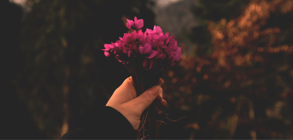 perdao nao e esquecer