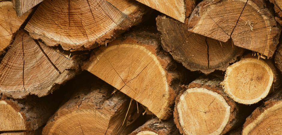 famílias olfativas dos perfumes natura