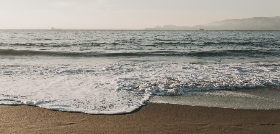 famílias olfativas dos perfumes natura